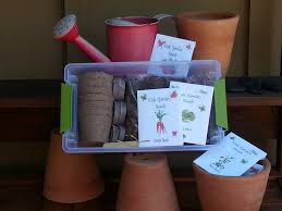 garden craft kit
